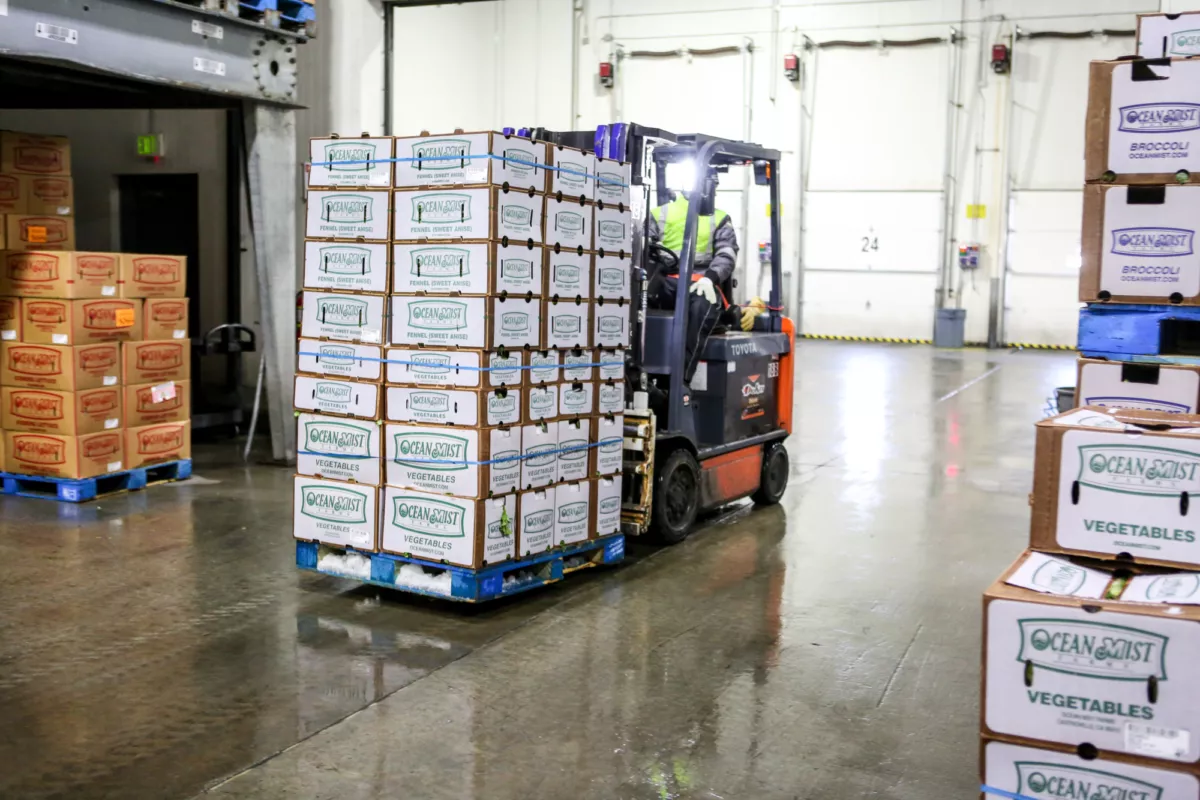 Ocean Mist Forklift