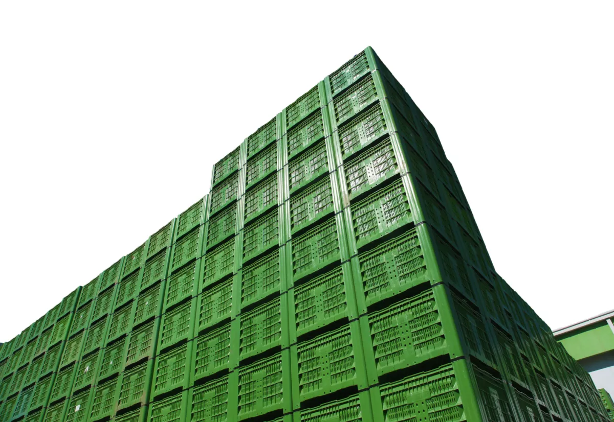 Ocean Mist Green Bins