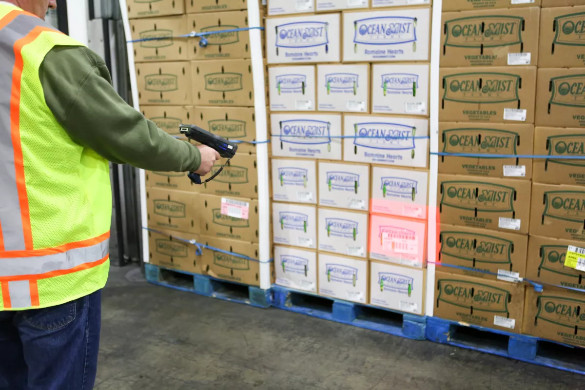 Ocean Mist Scanning Cartons